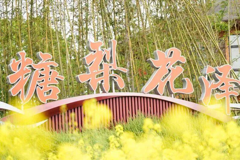 日解锁稻田打卡、农家尝鲜、亲子撒欢AG真