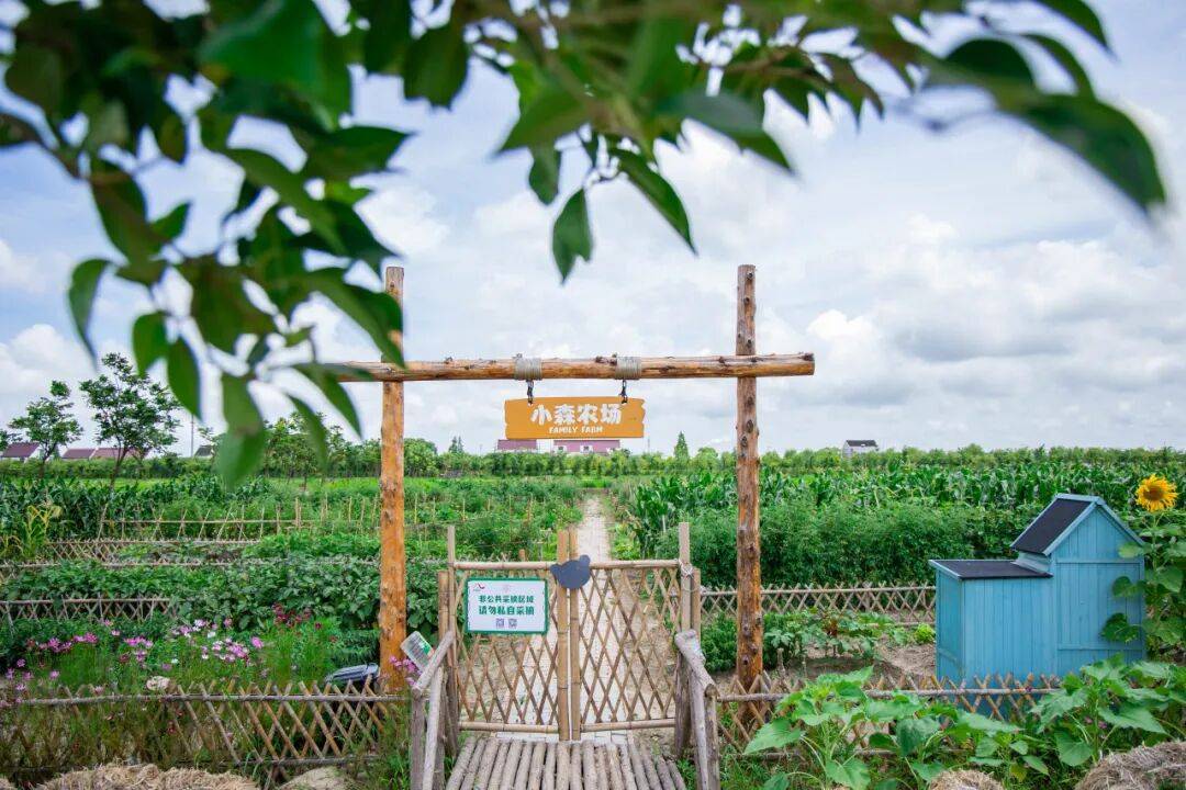 日解锁稻田打卡、农家尝鲜、亲子撒欢AG真人登录入口趣玩奉贤乡野!秋(图2) 日解锁稻田打卡、农家尝鲜、亲子撒欢AG真人登录入口趣玩奉贤乡野!秋(图2)