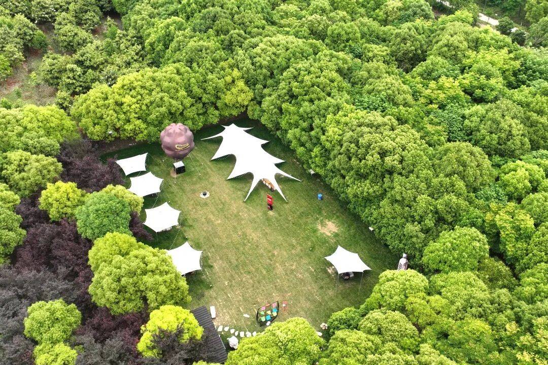 日解锁稻田打卡、农家尝鲜、亲子撒欢AG真人登录入口趣玩奉贤乡野!秋(图6) 日解锁稻田打卡、农家尝鲜、亲子撒欢AG真人登录入口趣玩奉贤乡野!秋(图6)