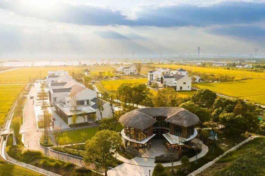 日解锁稻田打卡、农家尝鲜、亲子撒欢AG真人登录入口趣玩奉贤乡野!秋(图16) 日解锁稻田打卡、农家尝鲜、亲子撒欢AG真人登录入口趣玩奉贤乡野!秋(图16)