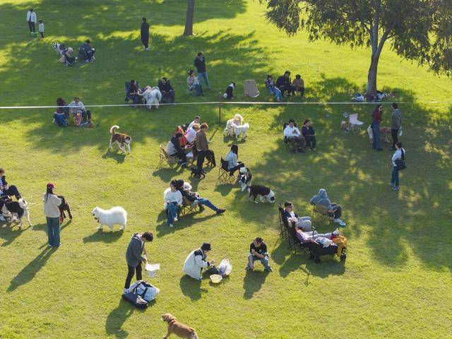 片揭露露营热退潮后藏着残酷真相AG真人上帝视角惊爆！数万张照(图4)