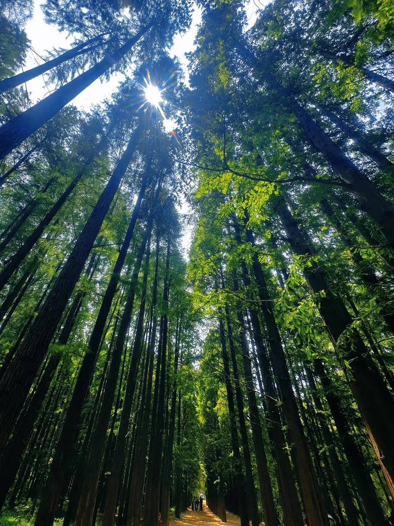 6研究报告』黄南博物馆参观指南AG真人百家家乐app202(图2)